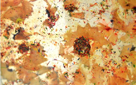 Screen Shot 2018-02-22 at 3.08.20 PM