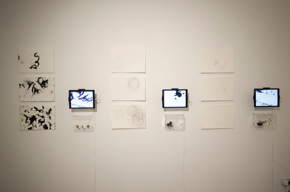 6 March 2018 Aedge-032.jpg