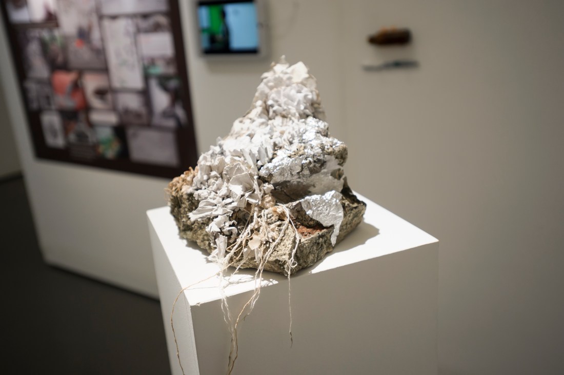 6 March 2018 Aedge-094.jpg