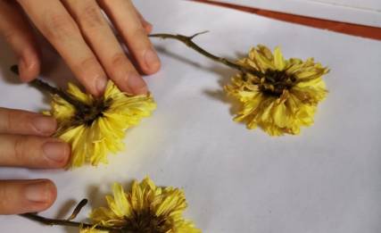 Fan Yumei_aedge19_05.jpeg